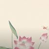 jivit_anh_kom_jis_