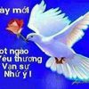 user3878986131468