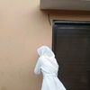 ansrliaa_