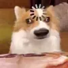 nhaahhehe