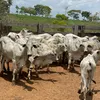 Fazenda Barra Bonita