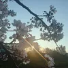 min_01h