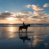 hollycameron642
