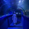 rosielgreen