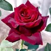 user521001193120