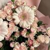 bdoor_1414