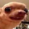 flema_tot