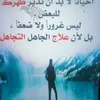 user709924030741