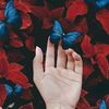 menna_mustafa_91