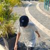hannswg_