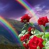 usersf14taswpm