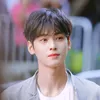 twinkle_wh