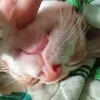 khanh_bangg2711