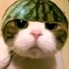 wasiwasi_