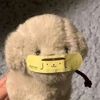williatm