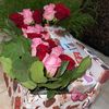 hadaya_0907