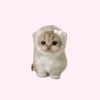viww_26