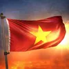 duongvietdung83