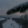 leni_leo1