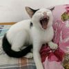 huyenbi9508