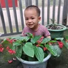 thach.phan64