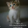 kizay005
