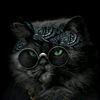 raja_bewan123