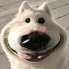 thanhconhai