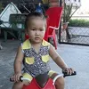 beheoxinhxan