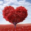 aftabsohail999
