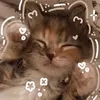 olciaaa_27777