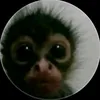 killier__0