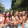 oliviasdrafts00