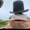 user3mkhtlrx3c