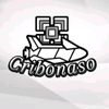 cribonaso3