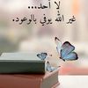 user7251638146143