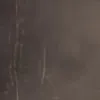 oxcoconutxo03