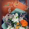 nowair_q8