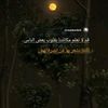 user8833441664477