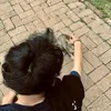 ويحلااي
