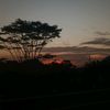 kopimukemana