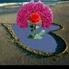 user28982580279554