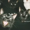 chirumacatacaldo