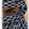 wael_y