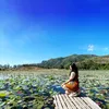 vyta.tuongvy