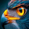 kalbu_07