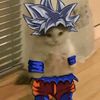 aaronxg2