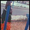 rickyrick1092
