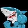 kardsharkz