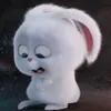 vnghanha